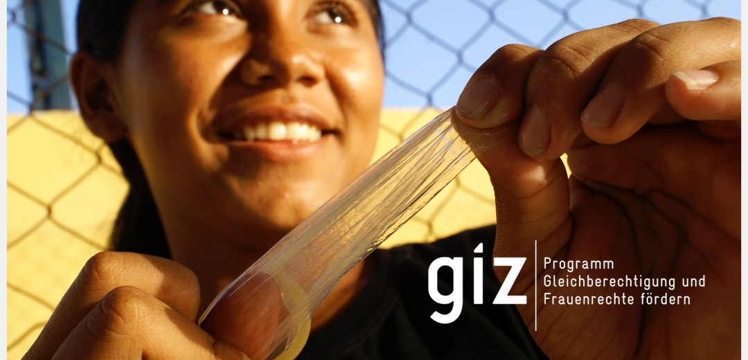 Webdesign-Beispiel: giz